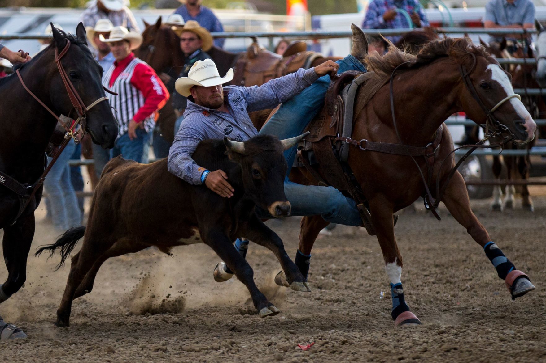 PRCA Yellowstone River Roundup